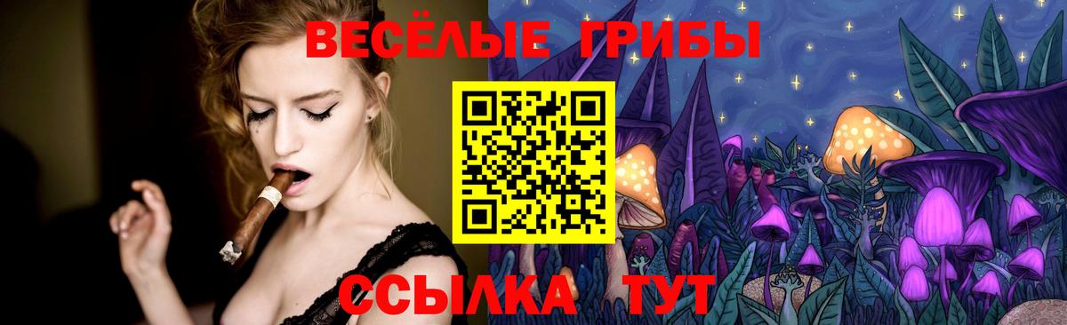 Галлюциногенные грибы Psilocybe Сызрань